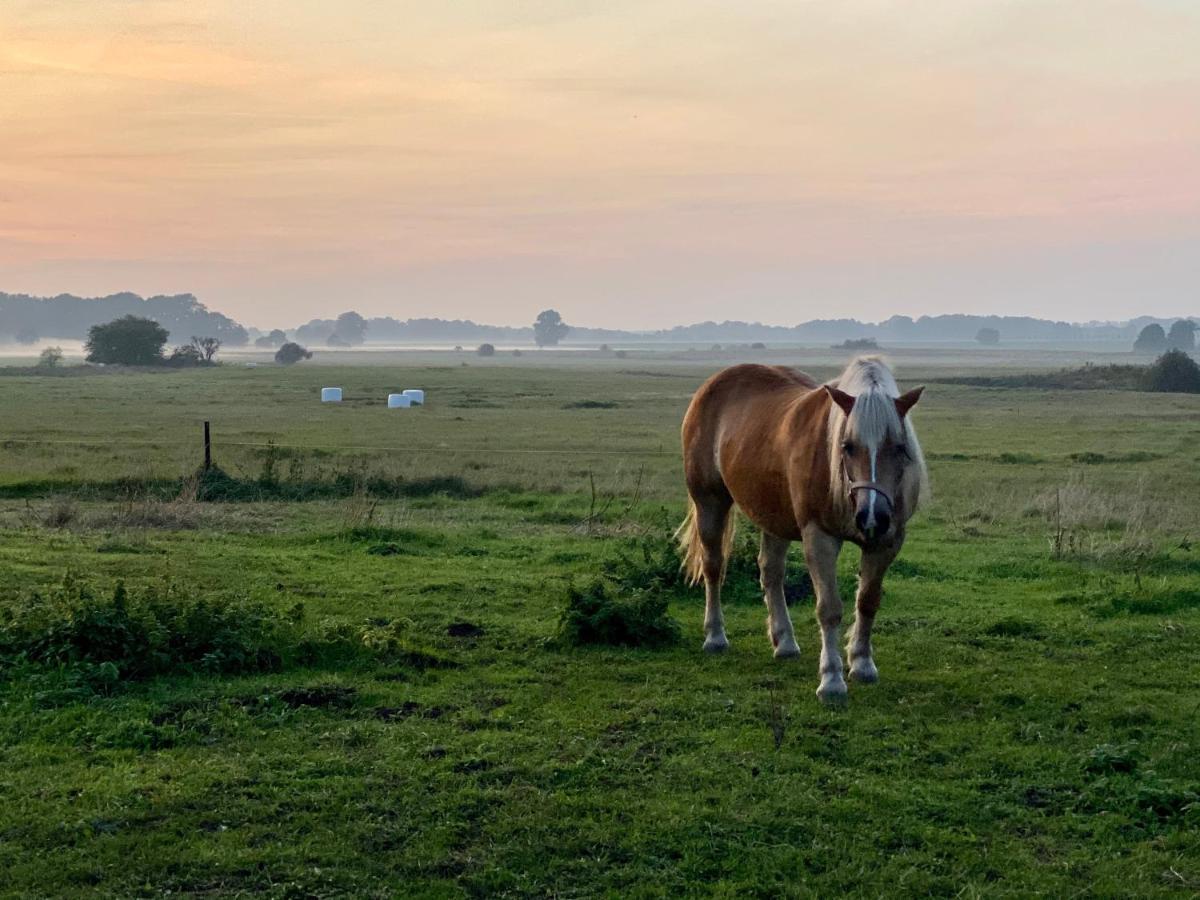 Kleine Auszeit Lägenhet Kluis Exteriör bild
